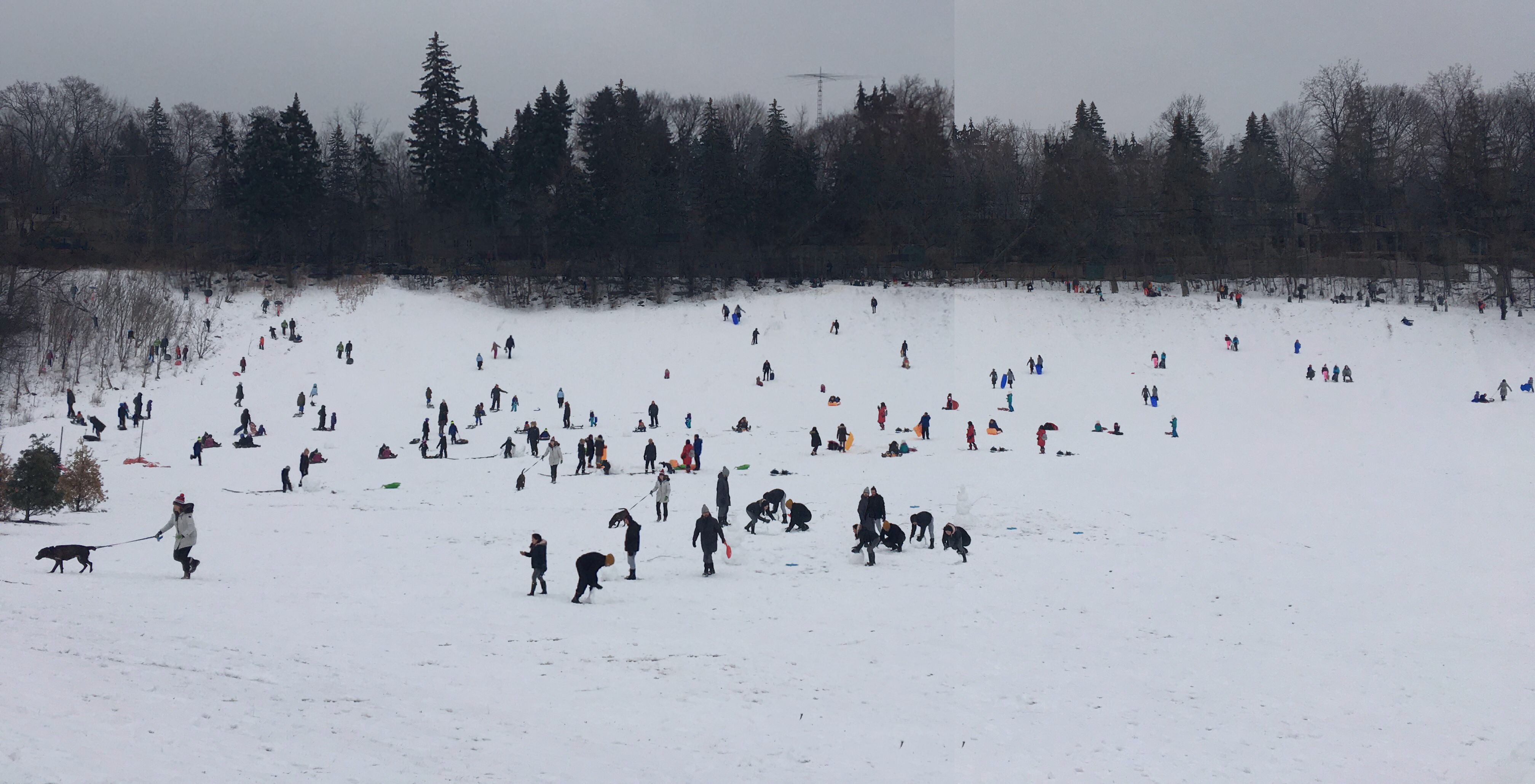 many people playing in the snow at cedarvale park, toronto