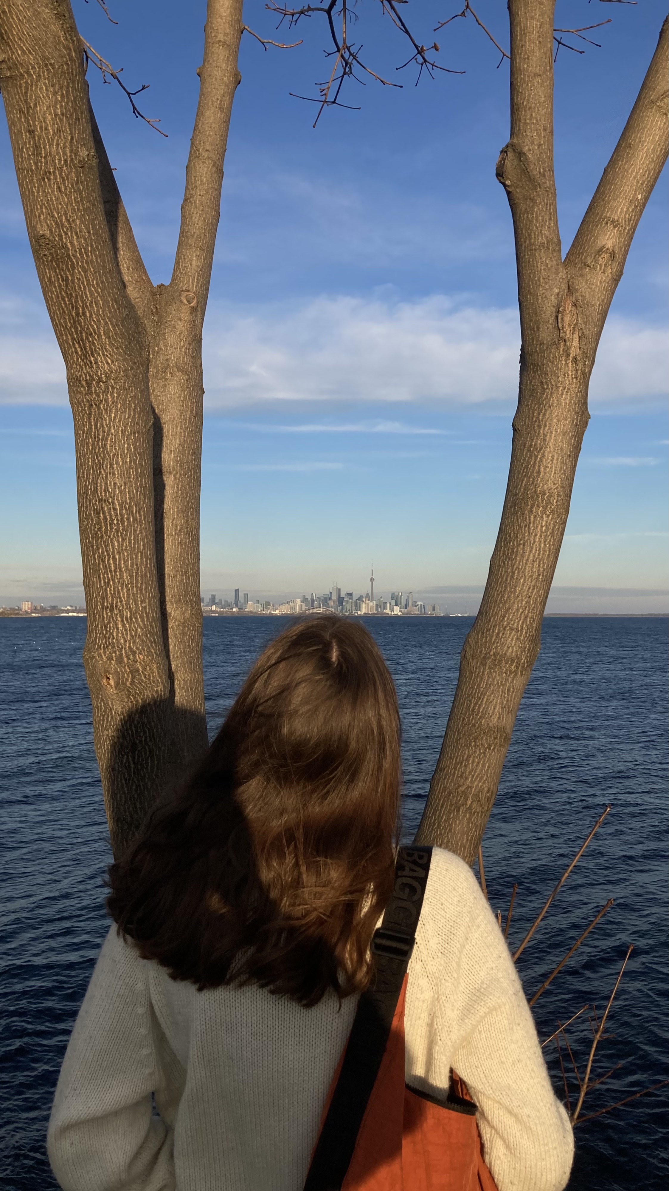 treme looks out towards the toronto skyline from etobicoke, ontario