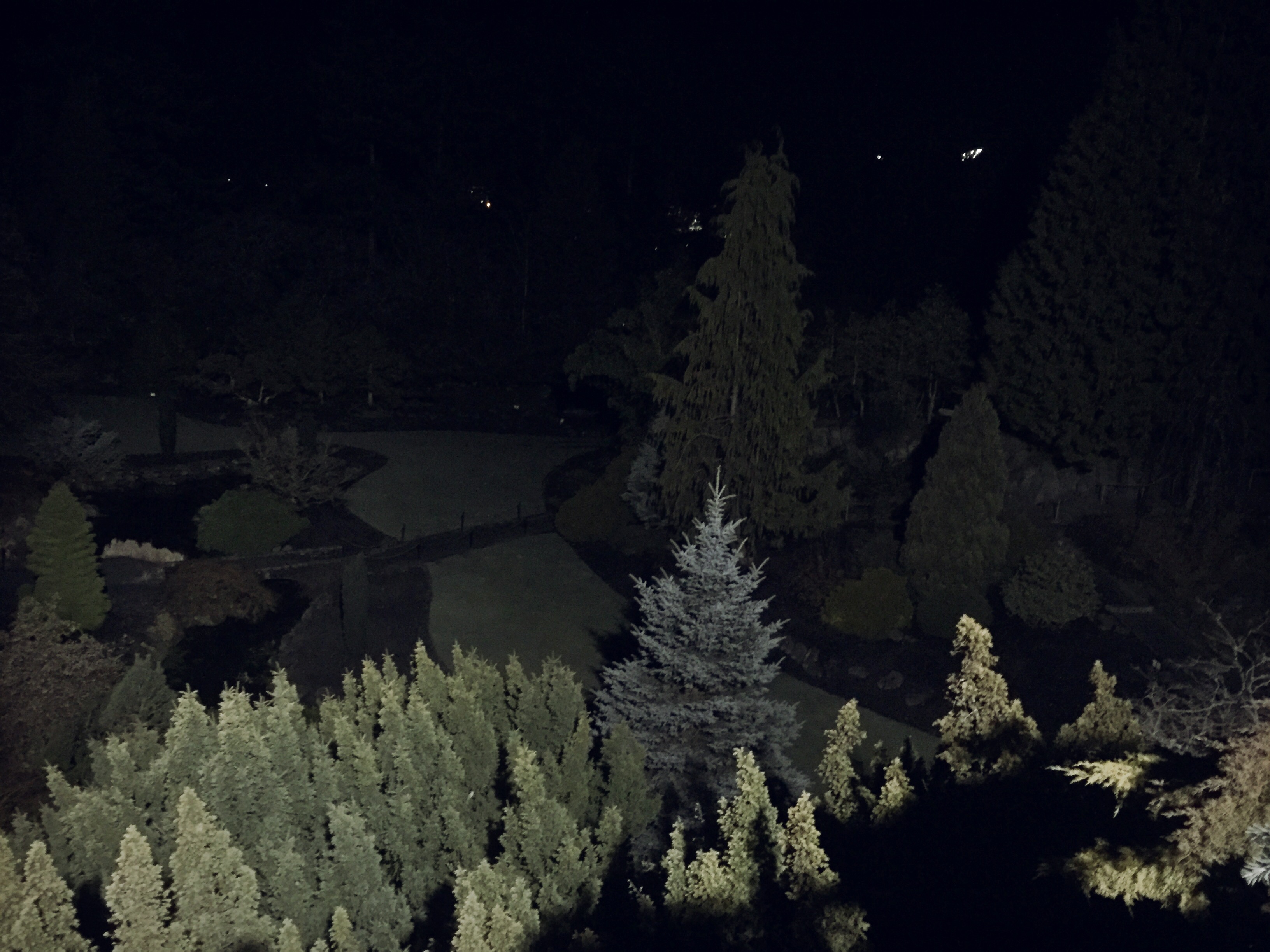 queen elizabeth park in vancouver at night