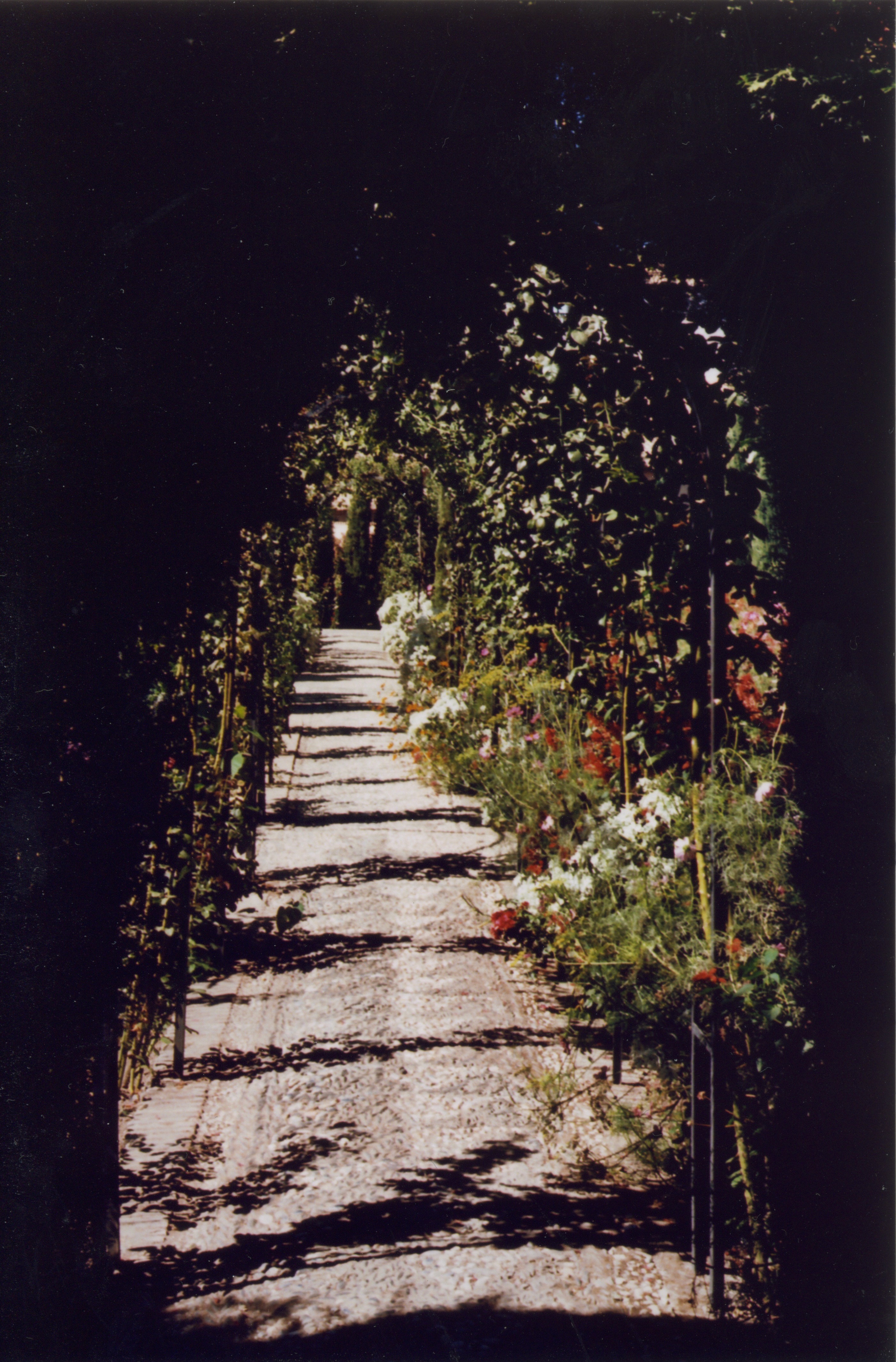 a garden at the alhambra, granada, spain