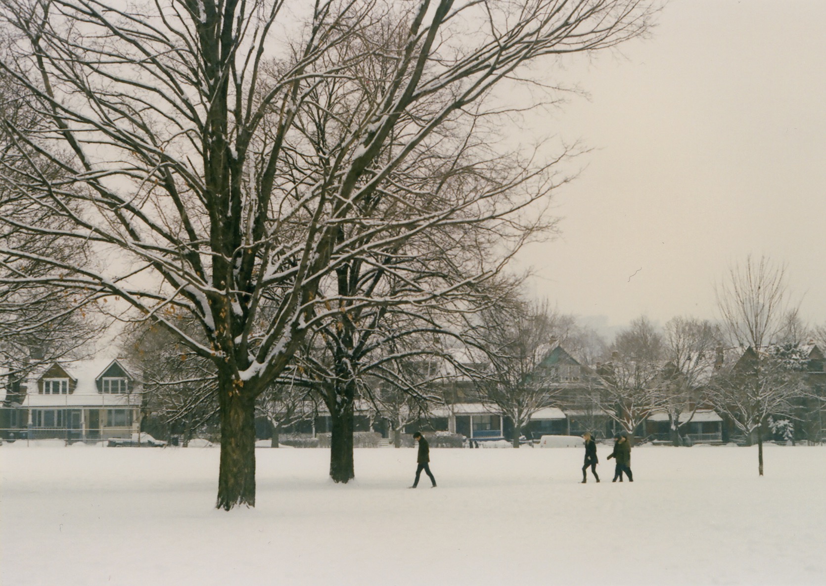 people walk in the snow, trinity bellwoods park, toronto