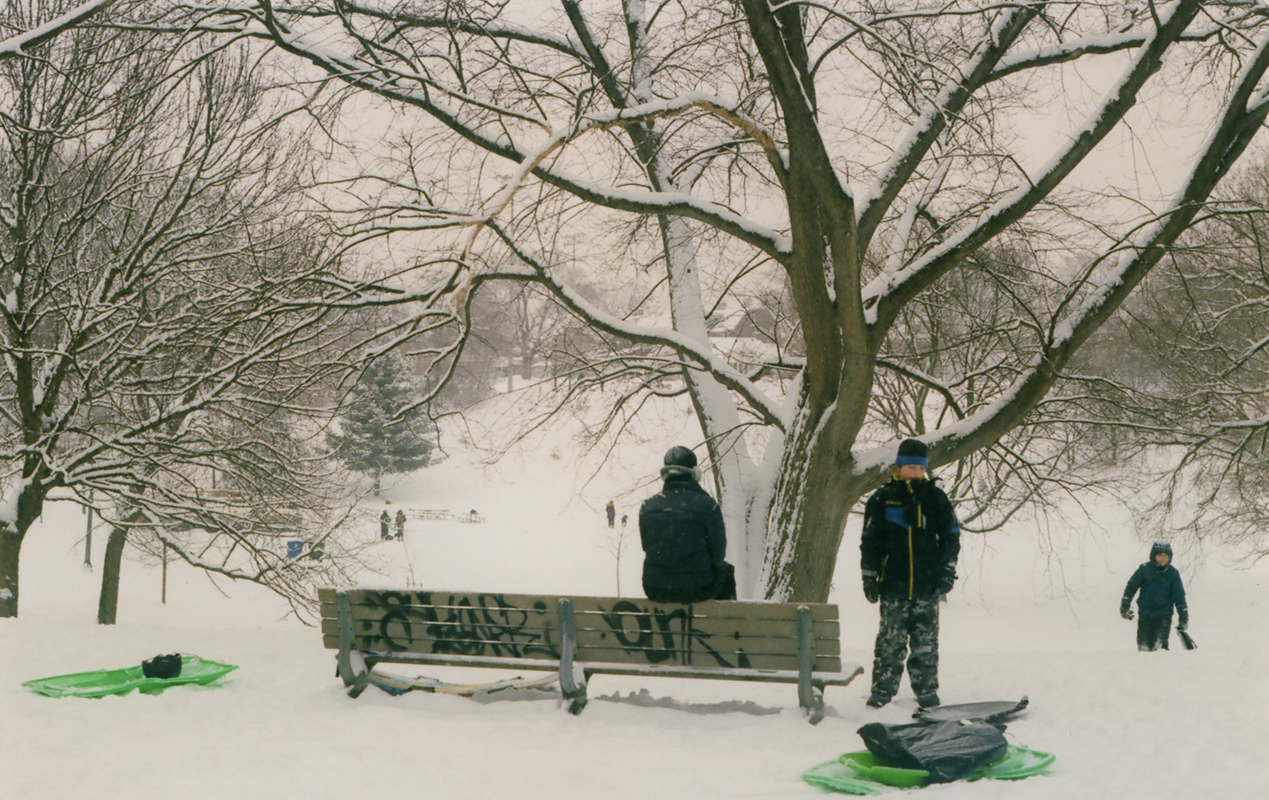 kids play in the snow, trinity bellwoods park, toronto